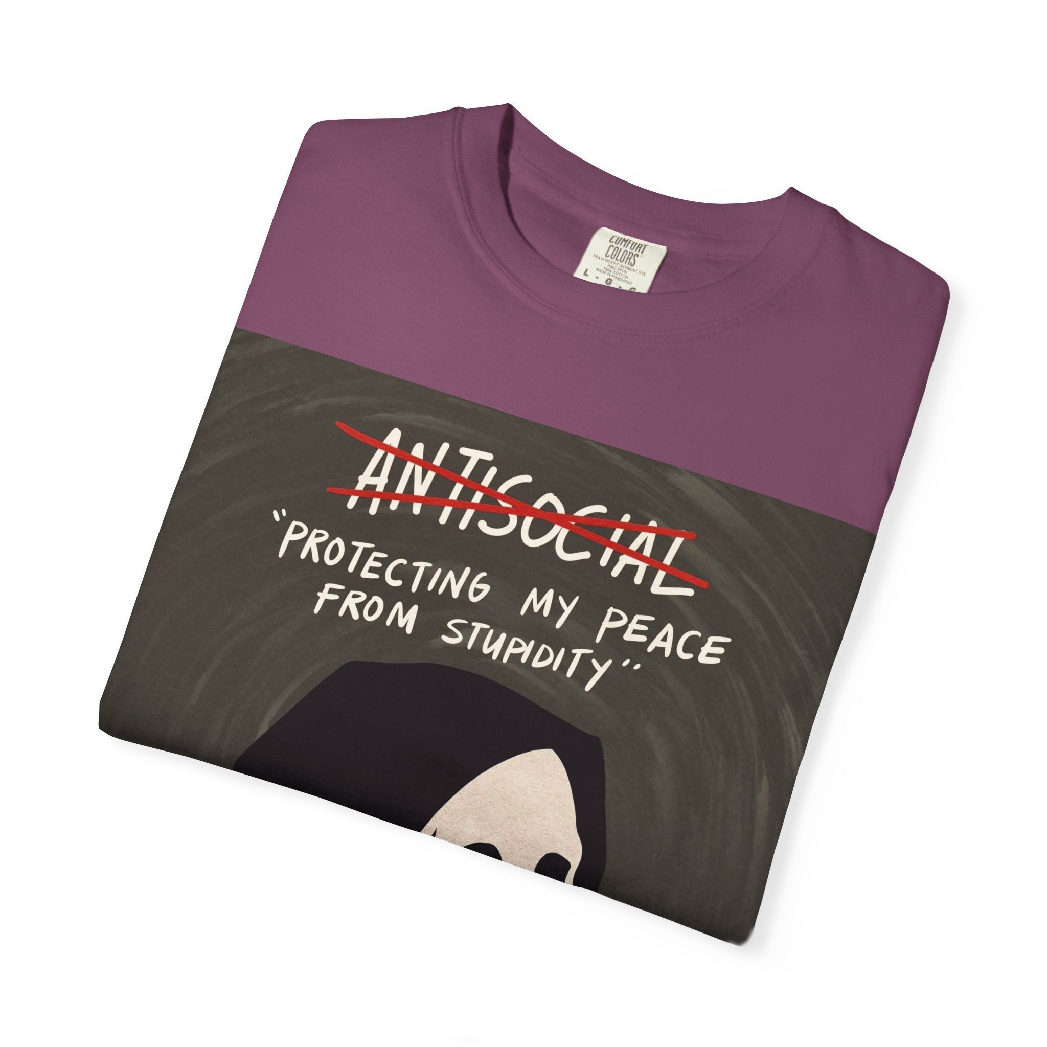 Protecting my peace from stupidity T-shirt