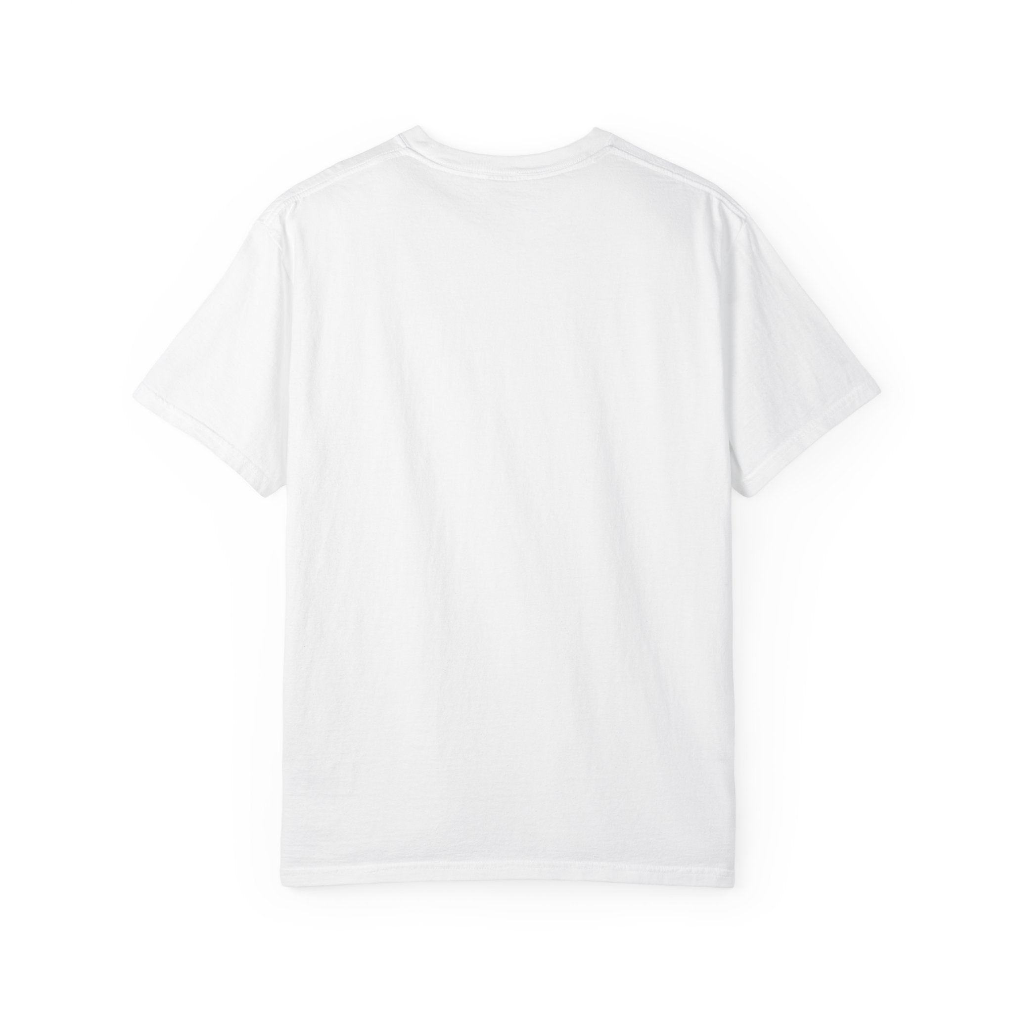 Protecting my peace from stupidity T-shirt