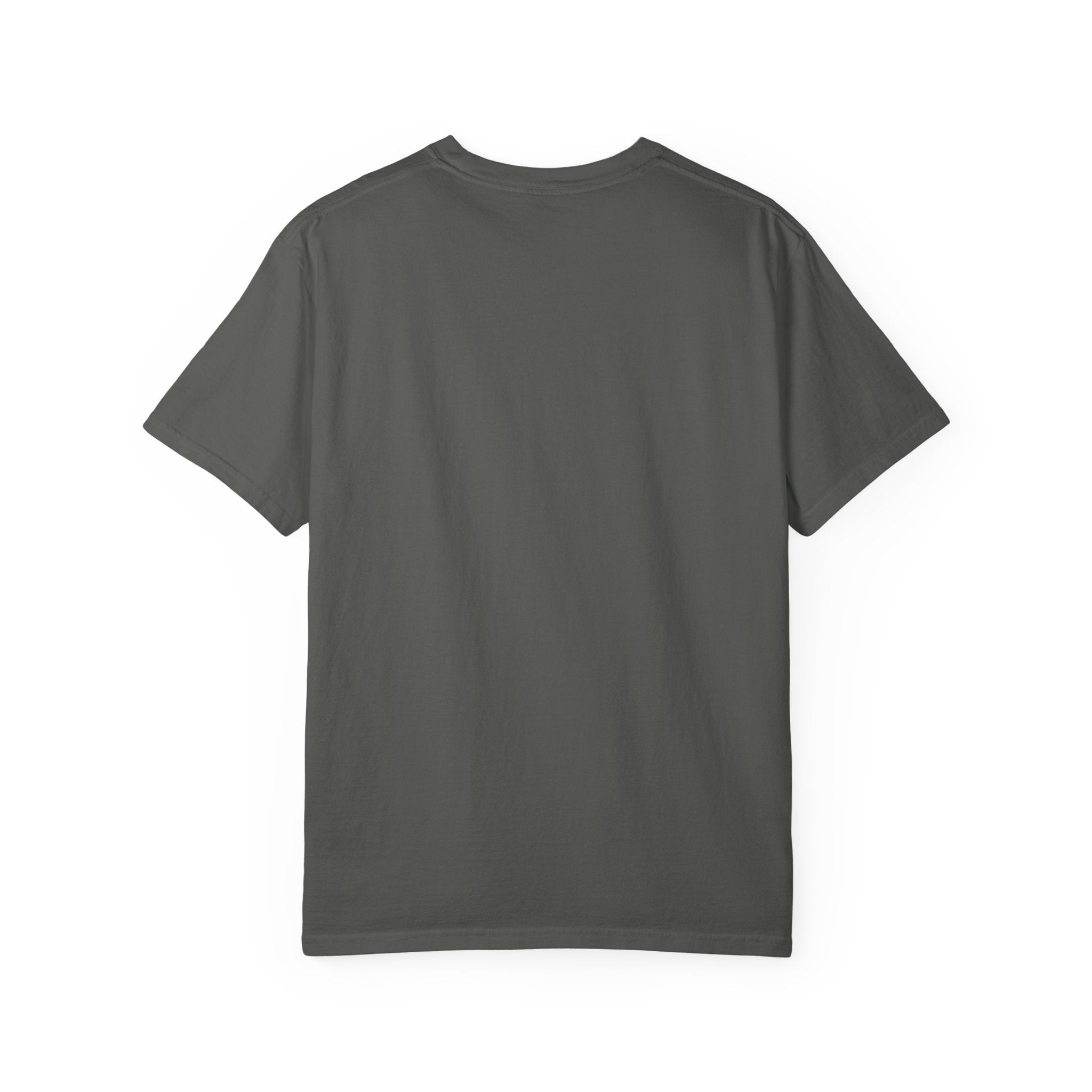 Protecting my peace from stupidity T-shirt