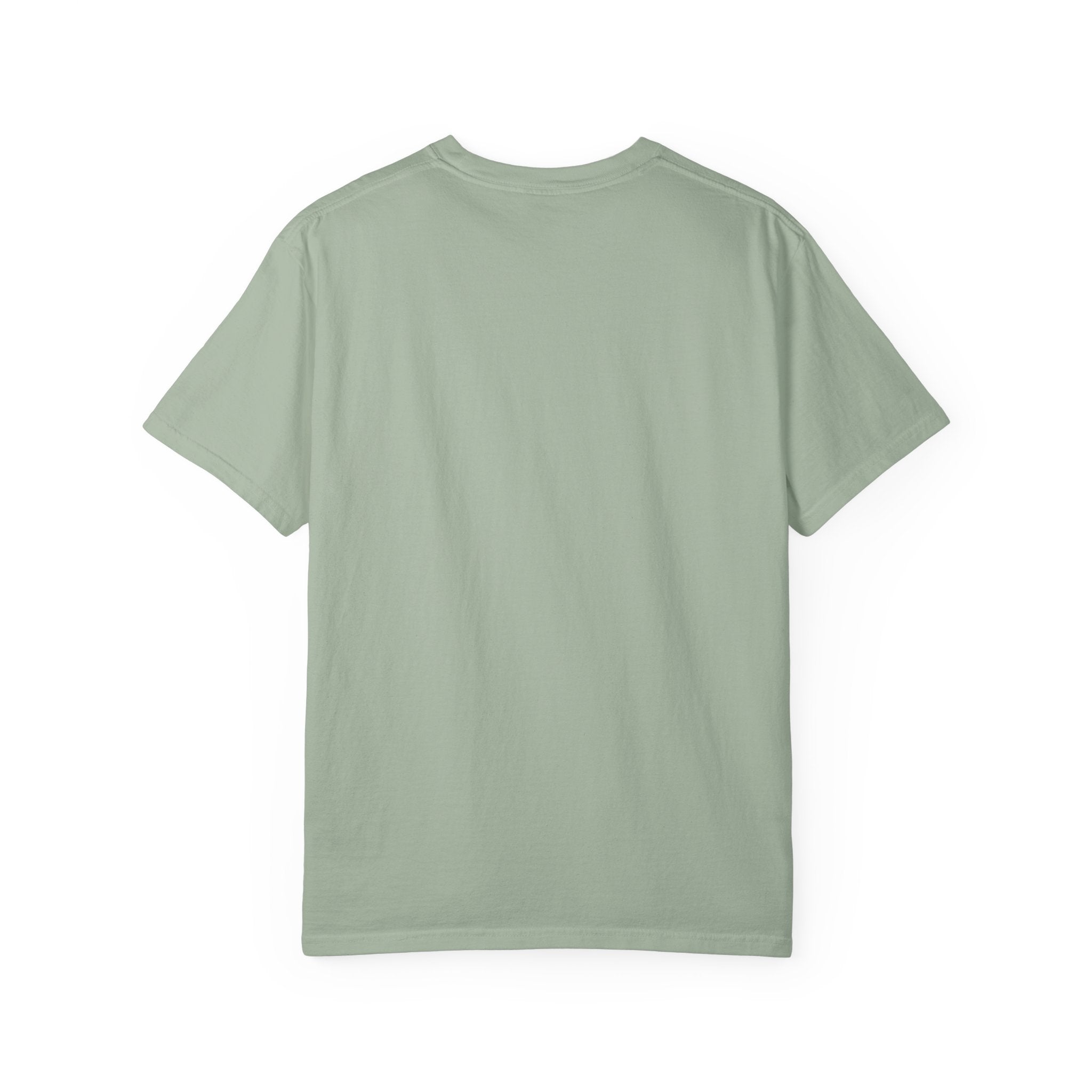Protecting my peace from stupidity T-shirt