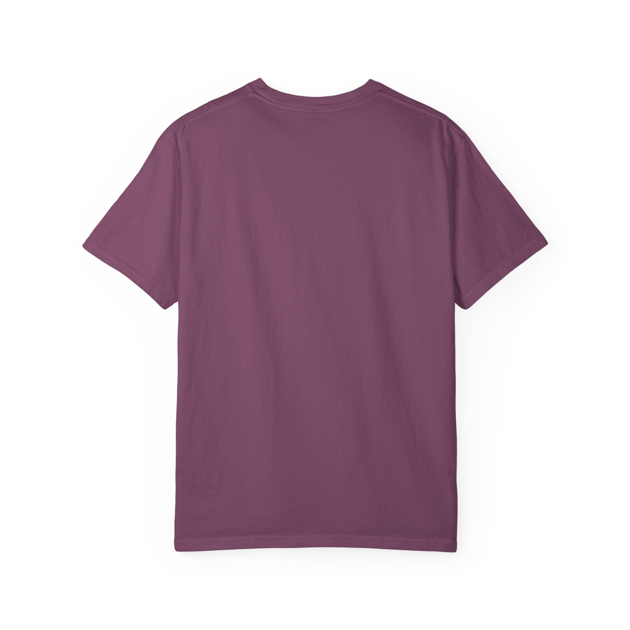 Protecting my peace from stupidity T-shirt