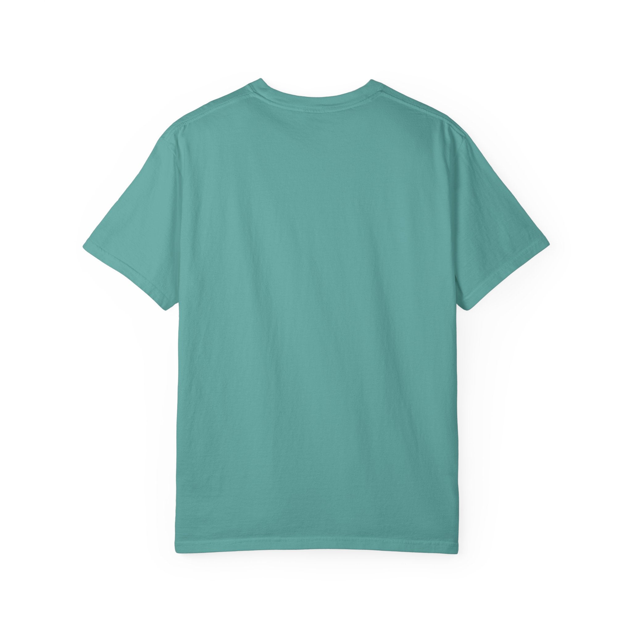 Protecting my peace from stupidity T-shirt