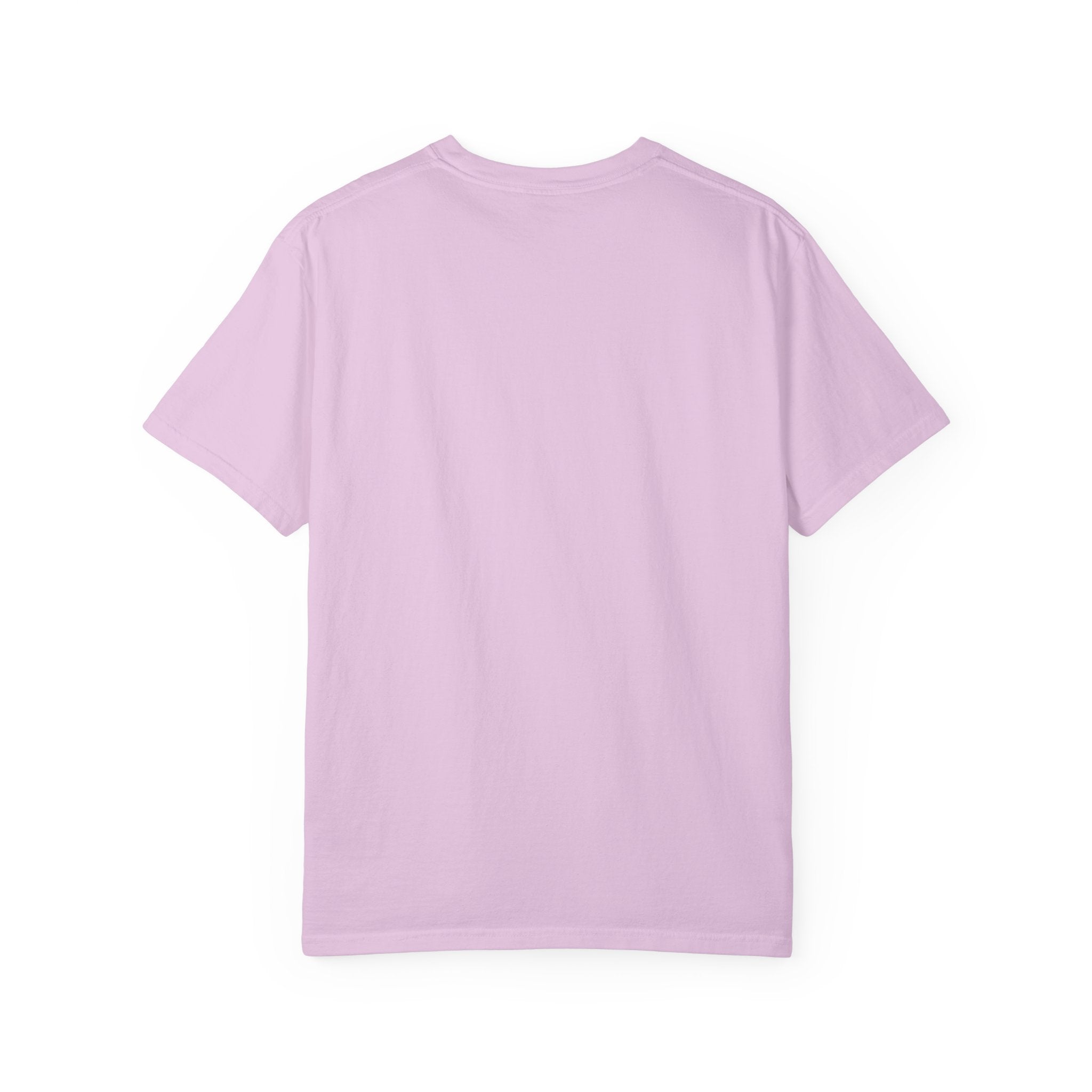 Protecting my peace from stupidity T-shirt