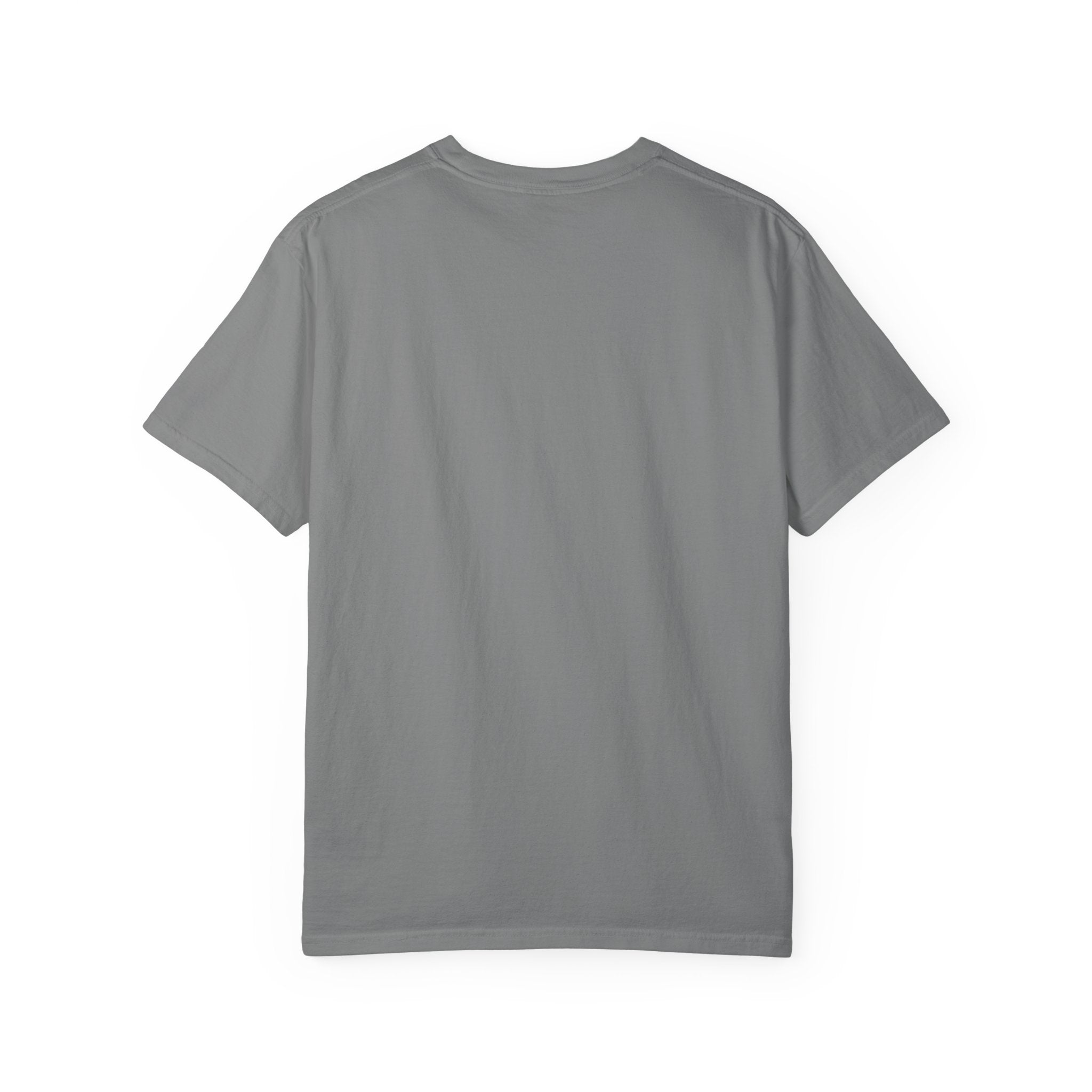 Protecting my peace from stupidity T-shirt